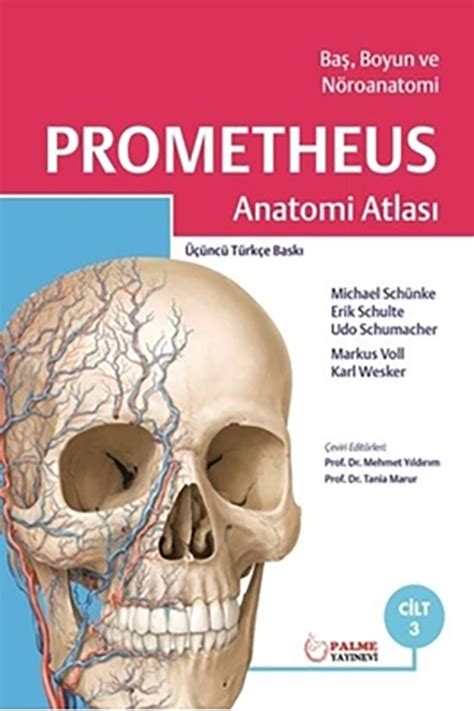 prometheus anatomi atlası cilt 3 pdf
